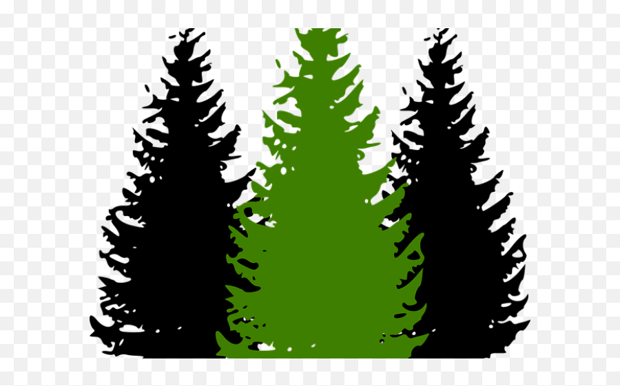 Pine Trees Png - Pine Tree Clipart Conifer Tree Pine Trees Pine Tree Color Silhouette Emoji,Pine Trees Png
