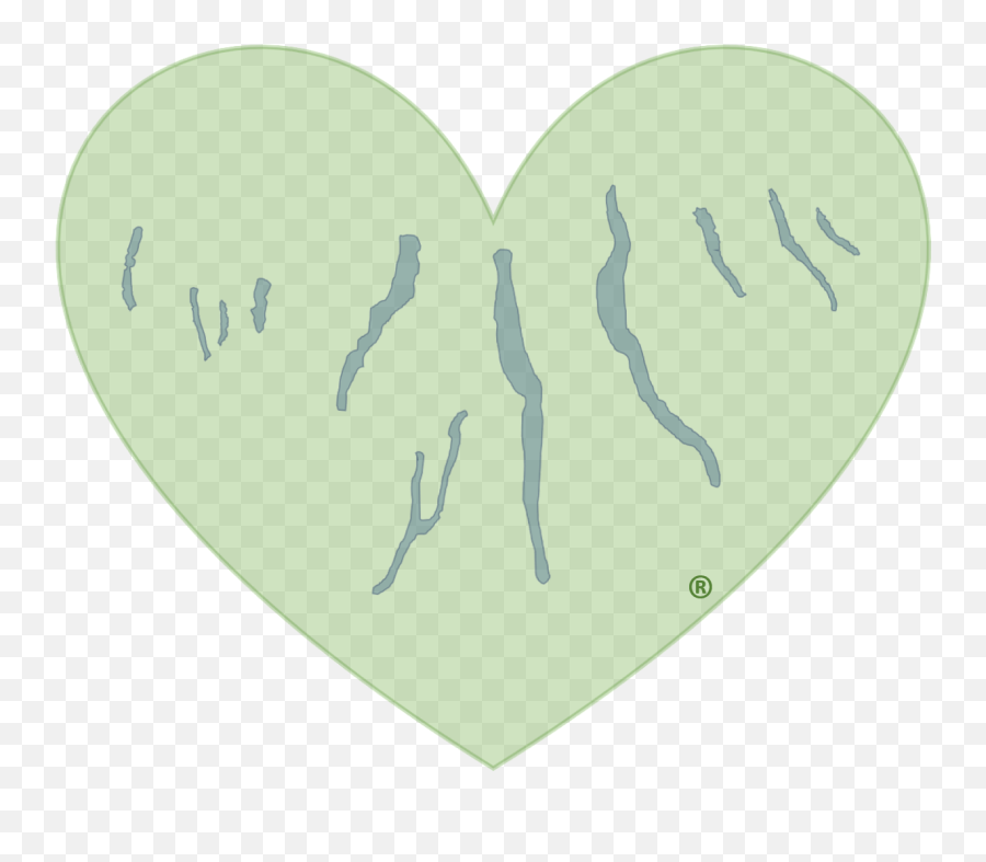 The Green Heart Of The Finger Lakes Emoji,Green Heart Png