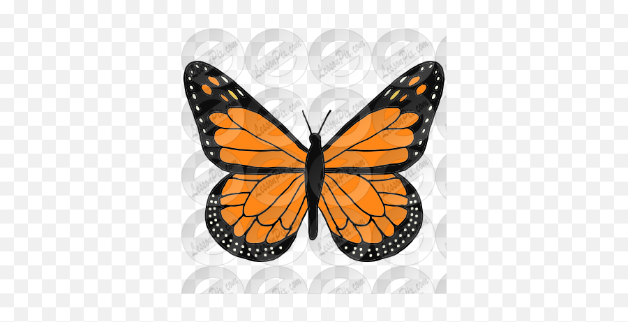 Monarch Picture For Classroom Therapy Emoji,Monarch Clipart