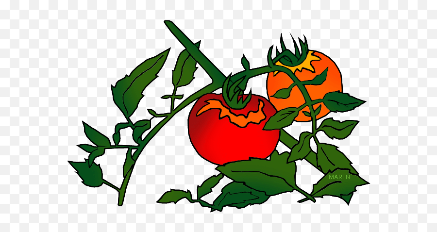 Tomato Clipart Branch - Dead Tomato Plant Gif Emoji,Tomato Clipart