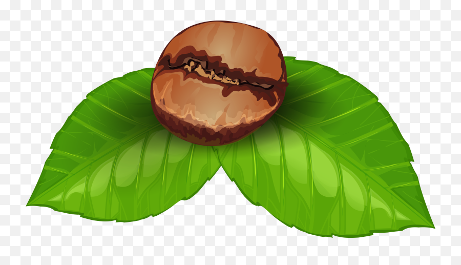 Coffee Bean Png Clipart Image - Coffee Beans Art Png Emoji,Beans Clipart