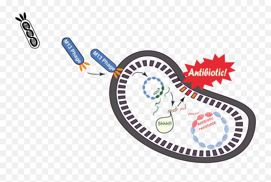 Shhh Clipart Silence - Trojan Horse Antibiotics Png Antibiotic Resistance Phages Emoji,Shhh Clipart