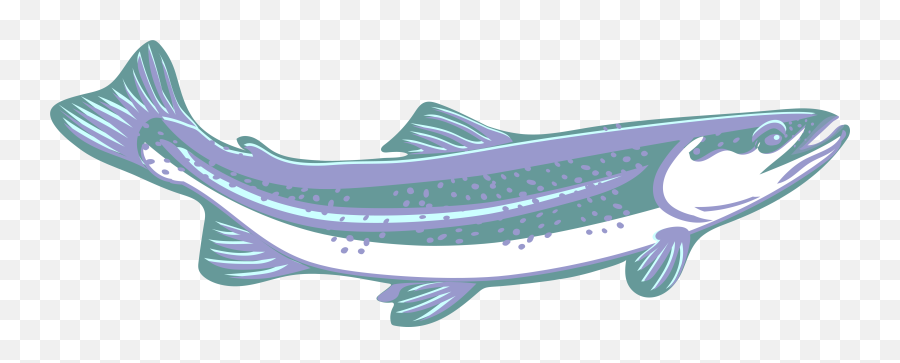 Trout Clipart Speckled Trout Trout Speckled Trout - Fish Products Emoji,Trout Clipart