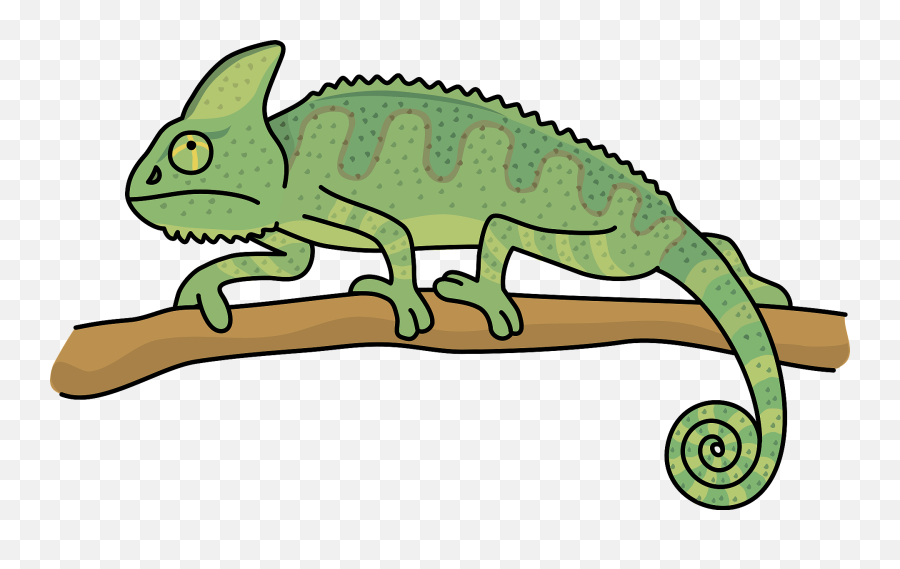 Veiled Chameleon Animal - Chameleonn Clipart Emoji,Chameleon Clipart