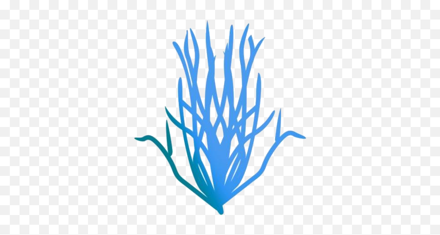 Transparent Kelp Ocean Plants Clipart Kelp Ocean Plants Png - Language Emoji,Plants Clipart