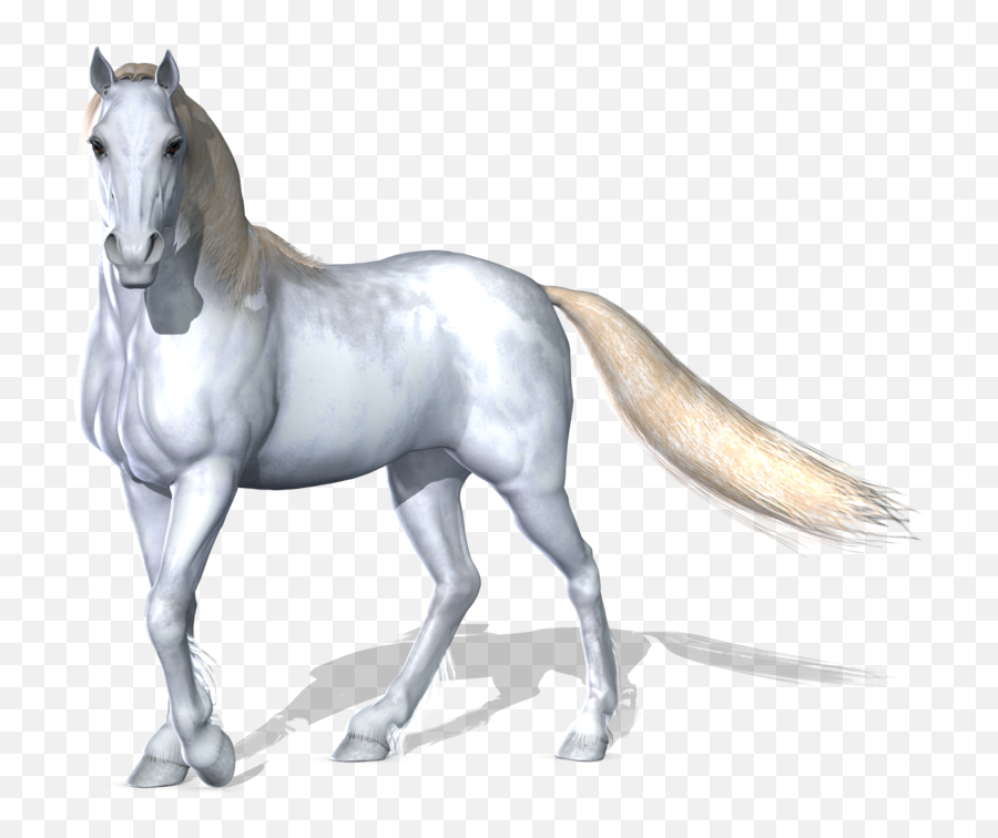 Uploads Horse Horse Png2538 - Png Press Transparent Png Emoji,Horse Clipart Png