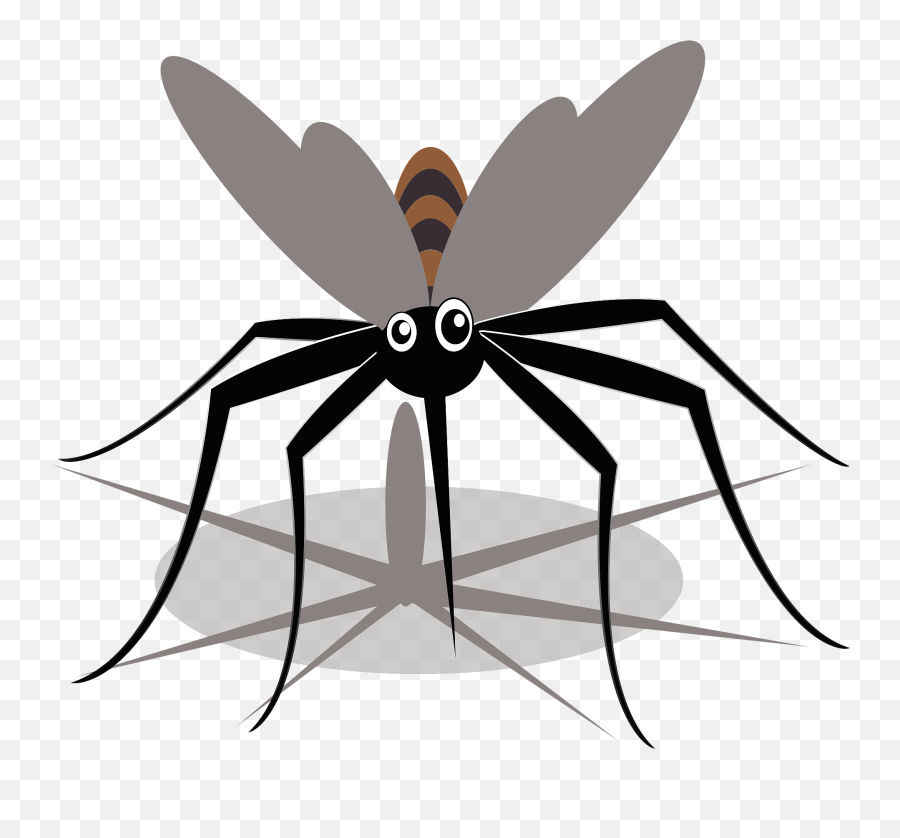 Mosquito Insect Clipart Free Download Transparent Png - Clip Art Emoji,Insect Clipart