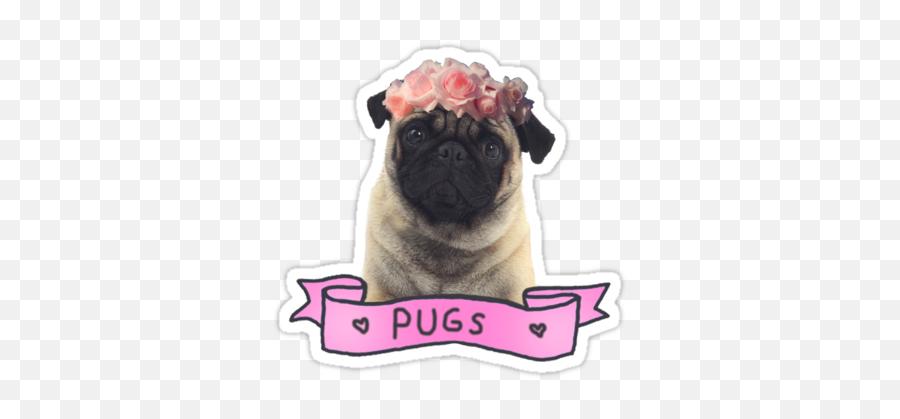 Library Of Pug Tumblr Picture Library Download Png Files - Pug Tumblr Sticker Emoji,Pug Clipart