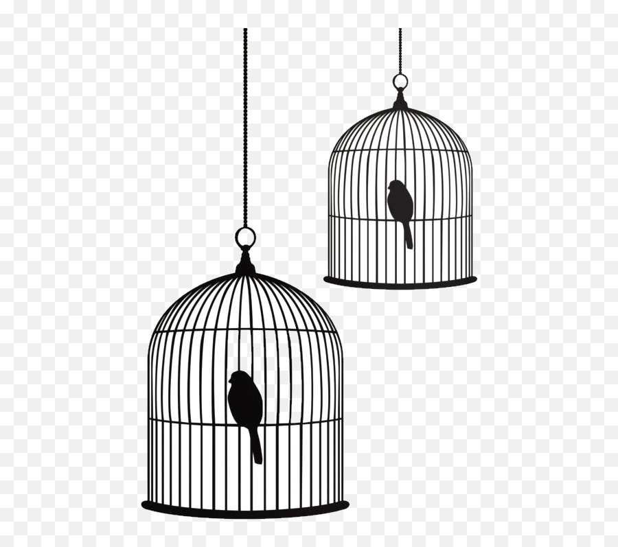 Birdcage Stencil Drawing - Bird Png Download 600800 Bird In A Cage Drawing Emoji,Cage Png