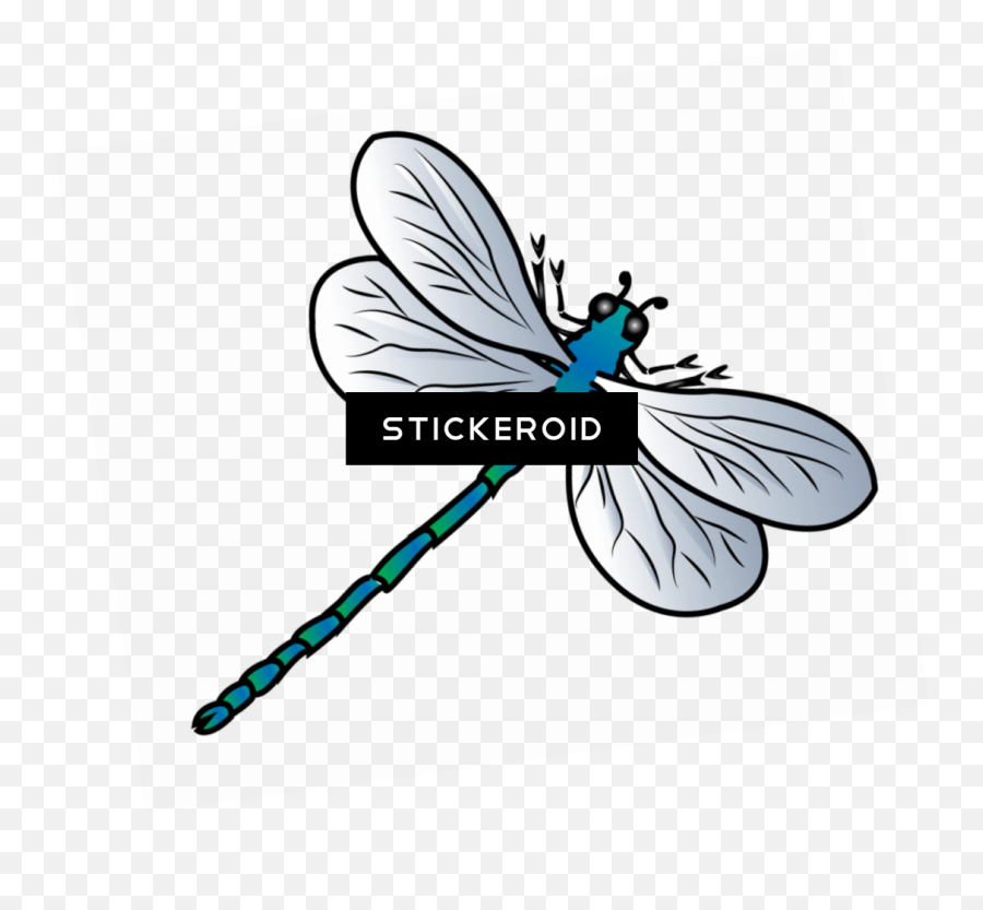 Dragonfly Insects Clipart Emoji,Insects Clipart