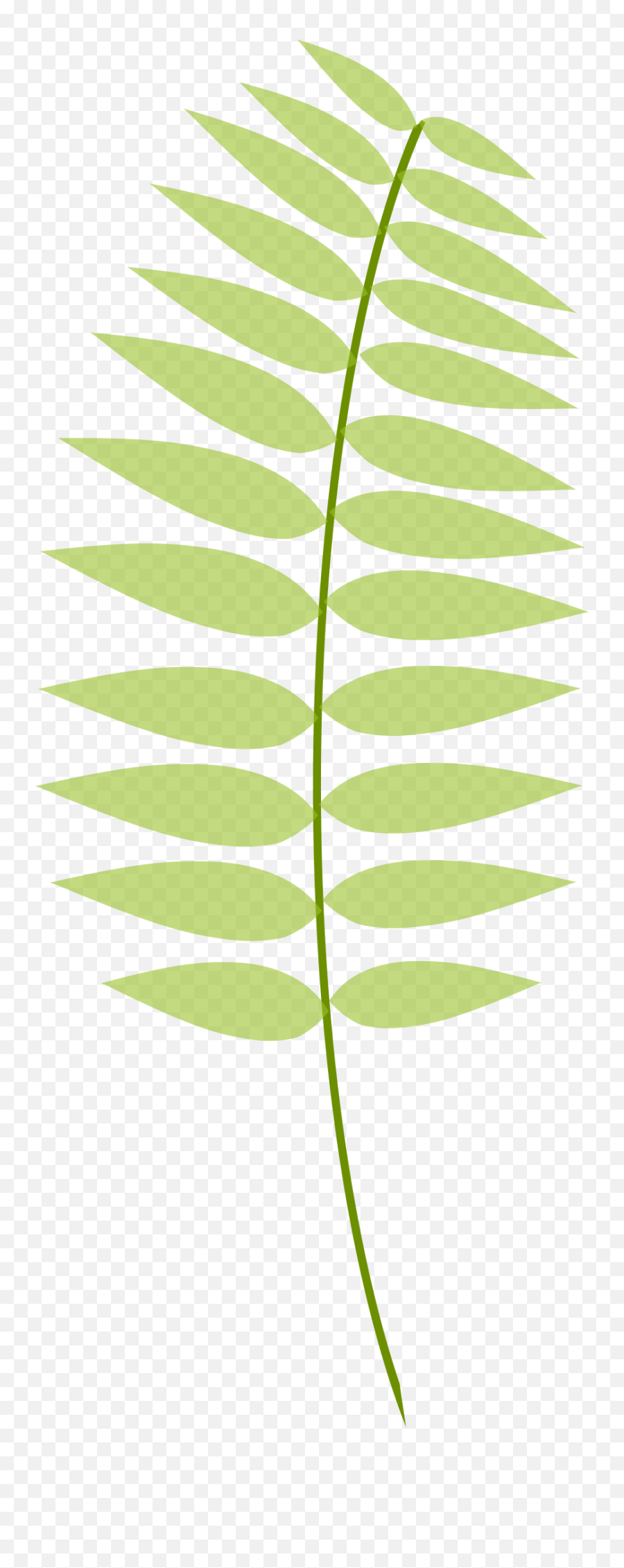 Httpsninagarmanmyportfoliocom Plant Leaves Plants Emoji,Lenten Clipart