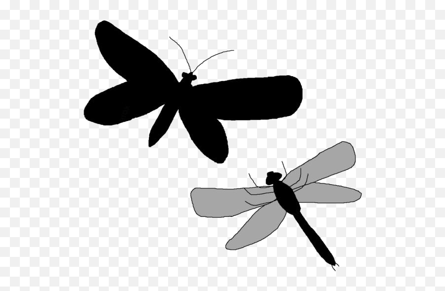 Transparent Flying Bugs Clipart Flying - Parasitism Emoji,Bugs Clipart