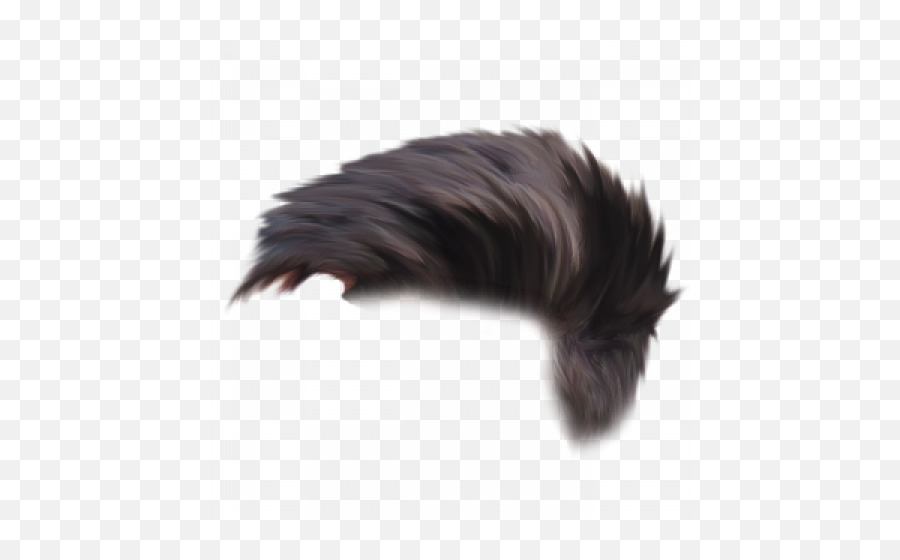 100 Best Hair Png Full Hd Transparent Images Free Download - Hair Style Men Editing Emoji,Fur Png