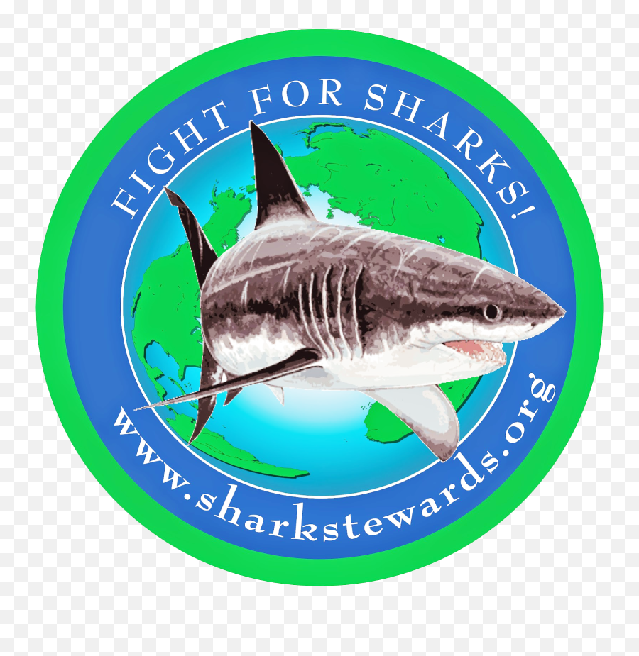 Broken Jaws Real Sharks Open Water No Cages - Shark Stewards Emoji,Jaws Logo