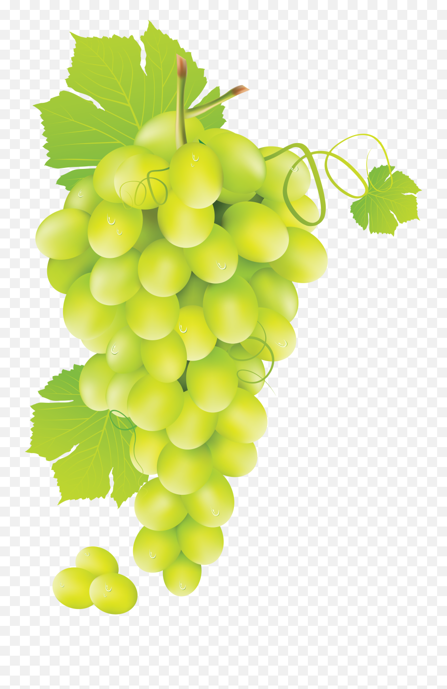 17 Best Green Grapes Ideas Green Grapes Grapes Green - Green Grapes Png Emoji,Grapes Clipart