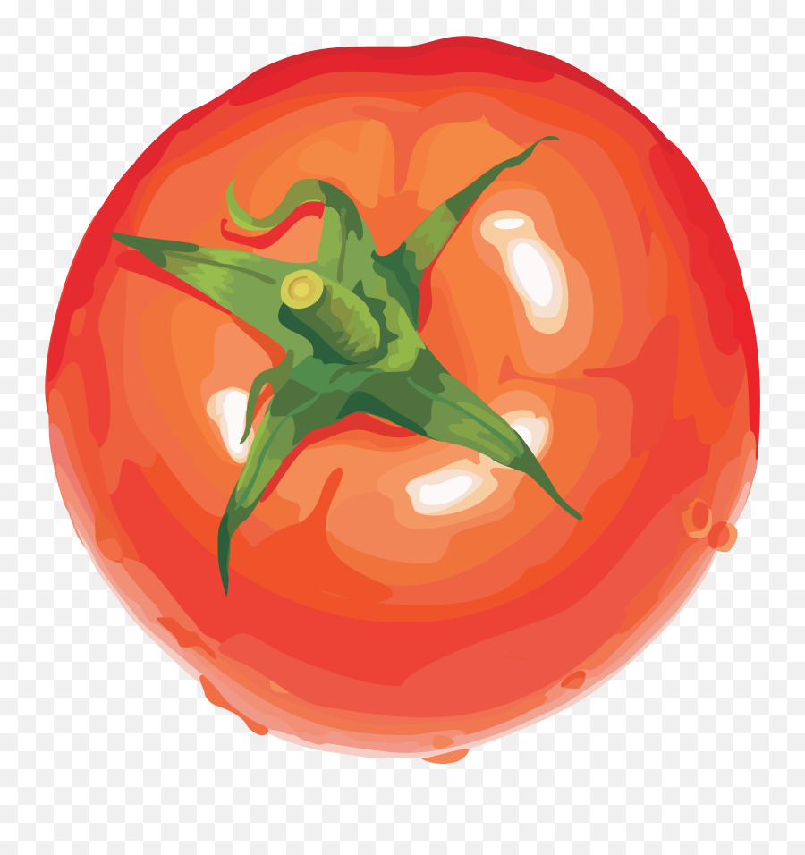 Tomato Png - Tomato Illustration Transparent Emoji,Tomato Clipart