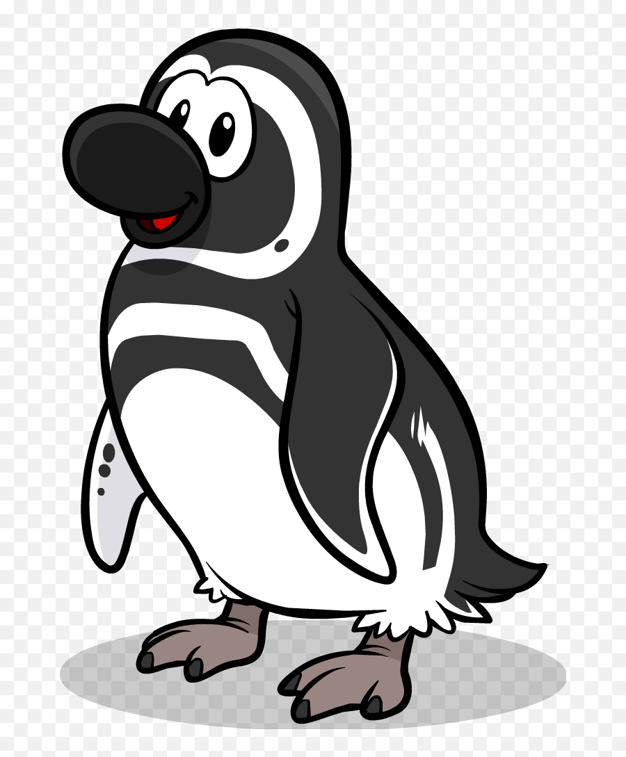 Penguins Clipart Swimming Penguins - Black Footed Penguin Club Penguin Emoji,Penguin Png