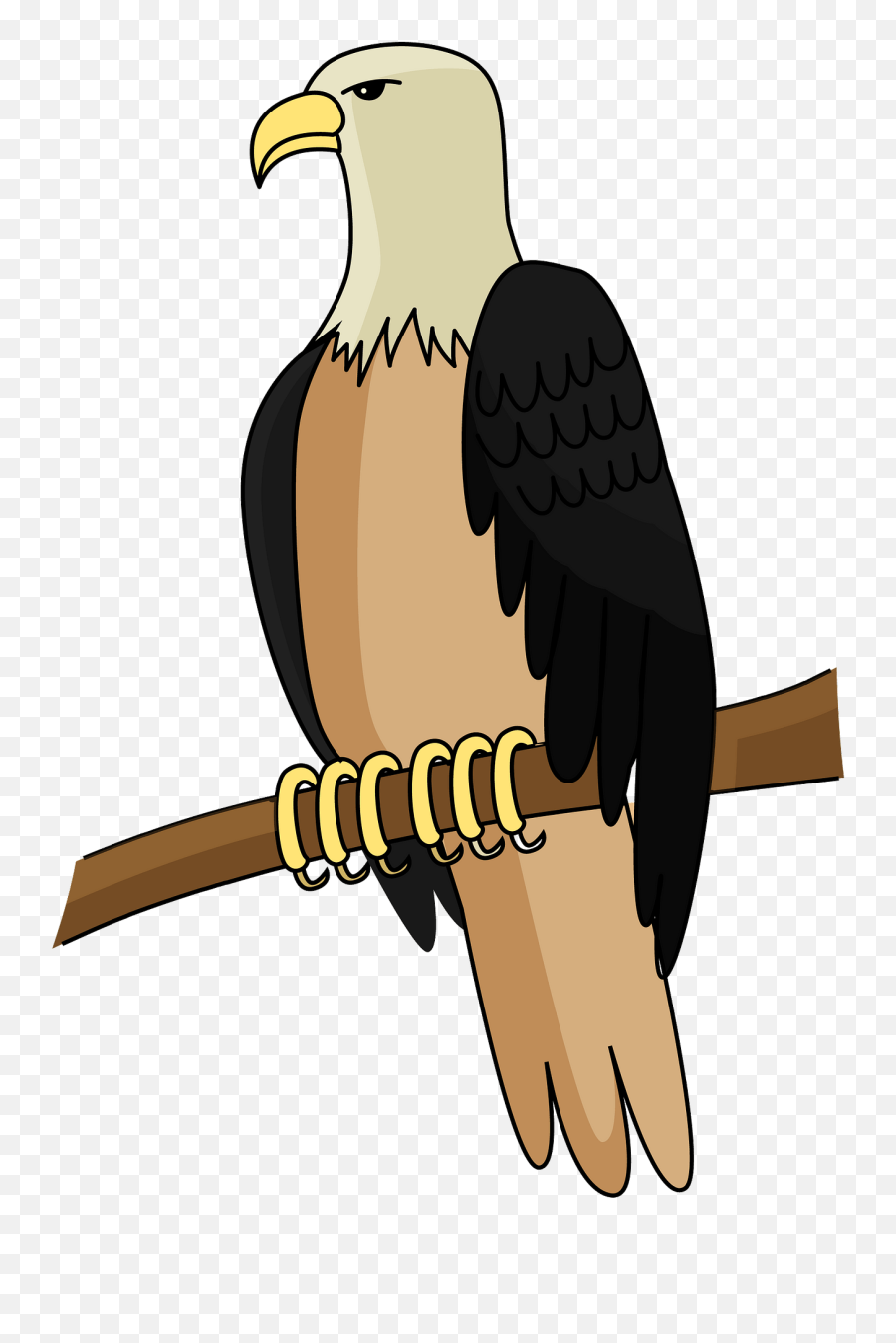 Bald Eagle Clipart Free Download Transparent Png Creazilla - Bald Eagle Emoji,Eagle Clipart