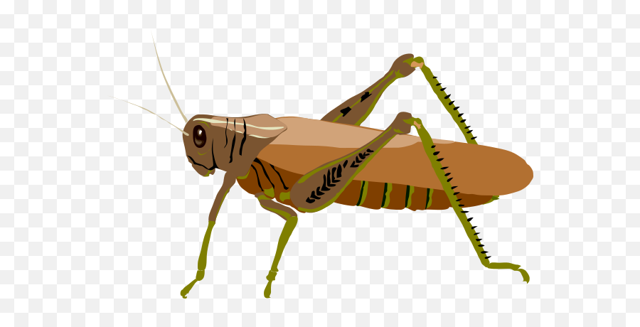 Brown Grasshopper Clip Art At Clker - Cricket Insect Clipart Brown Emoji,Grasshopper Clipart