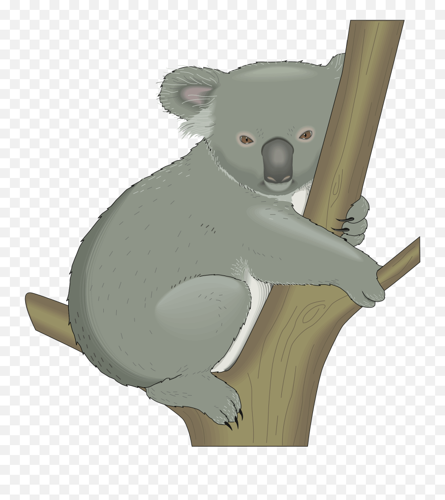 Koala Hugging Tree Clipart - Koala Clip Art Emoji,Hugging Clipart