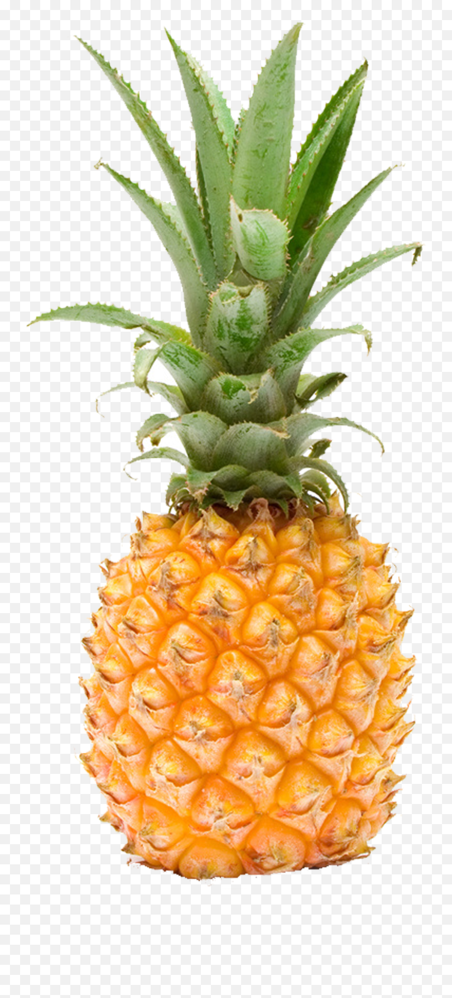 Pineapple Fruit Photography - Pineapple Fruit Png Download Pineapple Fruit Png Emoji,Pineapple Png
