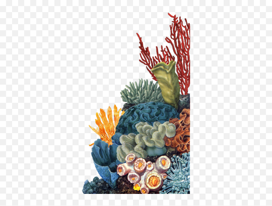 Ocean Plant Psd Official Psds Emoji,Transparent Ocean