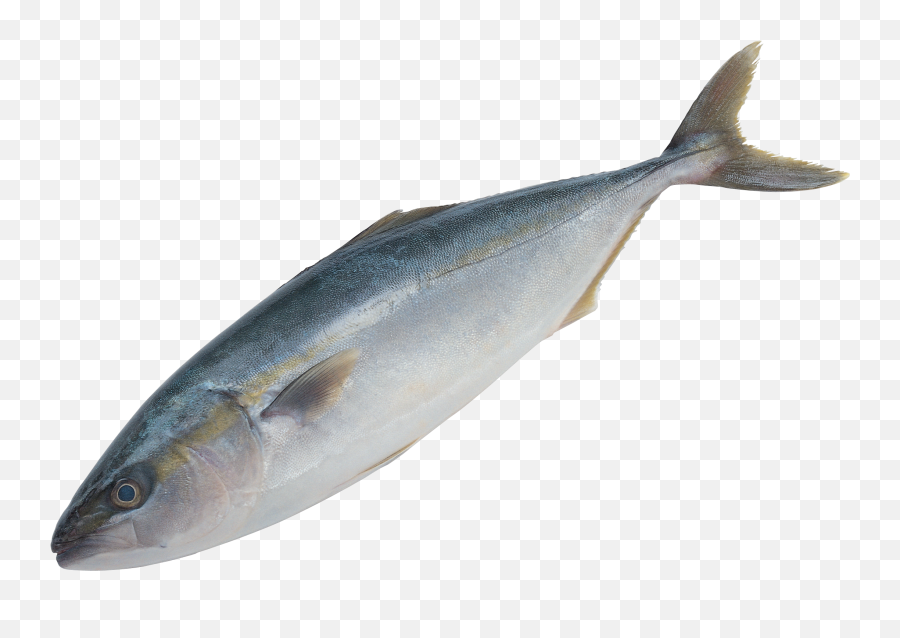Fish Png Clipart - Download Image Of Fish Emoji,Fish Png