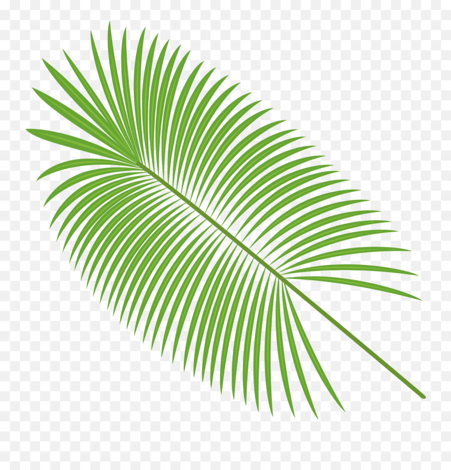 Palm Leaves Vector Material Png Download - 14001400 Free Transparent Background Palm Leaves Transparent Emoji,Banana Leaf Png