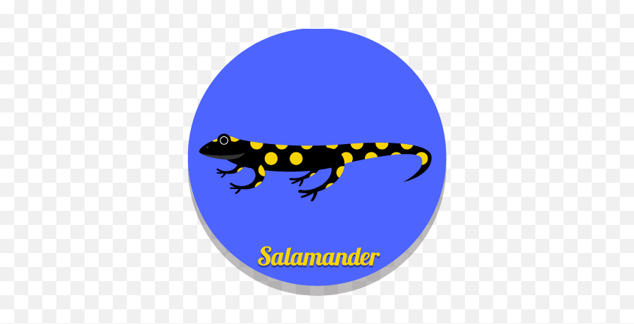 Acchiappa La Pappa Catch The Pap On Behance Emoji,Salamander Clipart