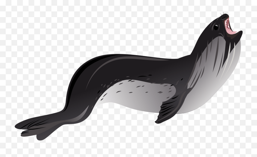 Ross Seal Clipart - Steller Sea Lion Emoji,Seal Clipart