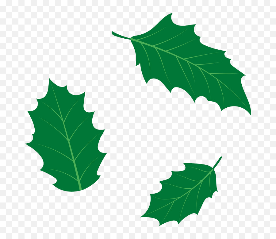 Holly Leaves Png Transparent - Clipart World American Holly Emoji,Leaves Png