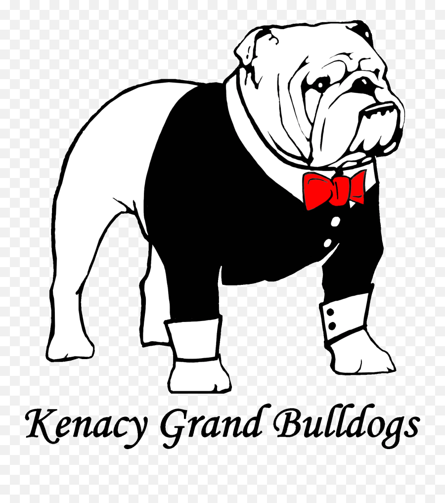 Kenacy Grand English Bulldog Puppies For Sale In Michigan Emoji,English Bulldog Clipart