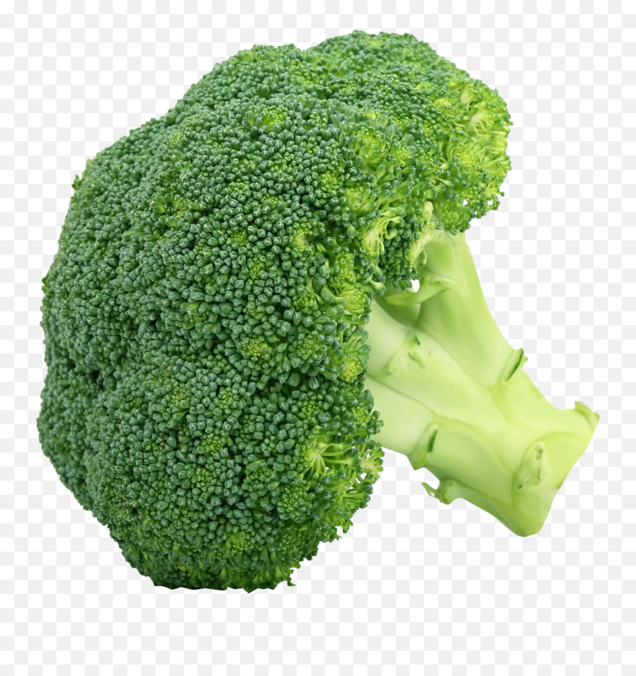 Download Broccoli Clipart Hq Png Image - Transparent Broccoli Png Emoji,Broccoli Clipart