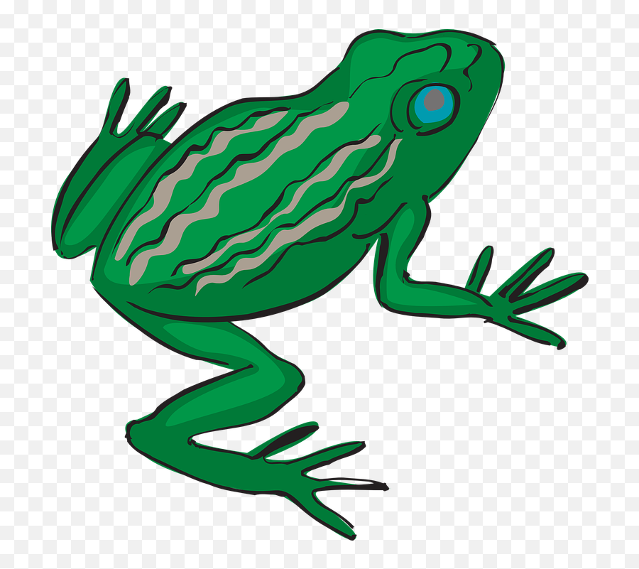 Download Green Frog Clipart Bull Frog - Frogs Legs Clipart Frogs Legs Clipart Emoji,Leg Clipart