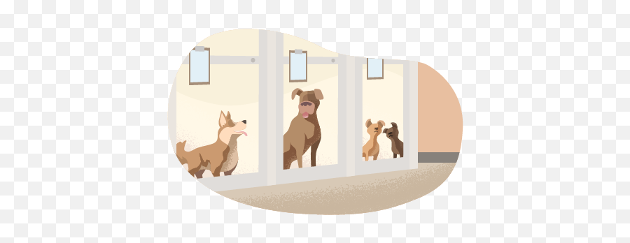 Animal Shelter Business Insurance Emoji,Shelter Insurance Logo