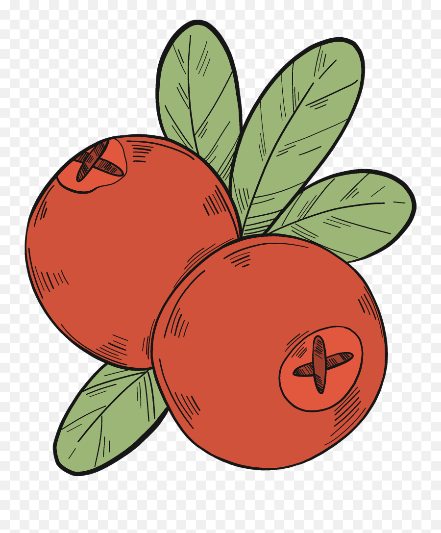 Two Cranberries Clipart Free Download Transparent Png Emoji,Cranberries Clipart