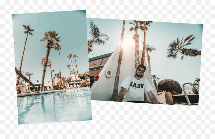 Palm Springs Best Photo Spots U2013 Gonegone Emoji,Two Palm Trees Logo