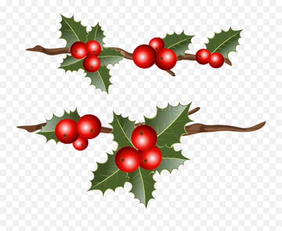 Download Free Png Holly Branches Png - Transparent Holly Berry Png Emoji,Holly Png
