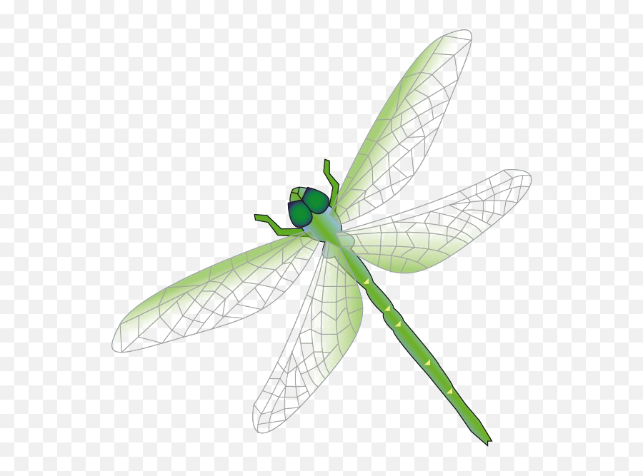 Dragonfly Png Free Download Png Arts - Cartoon Dragonflies Png Emoji,Dragonfly Png