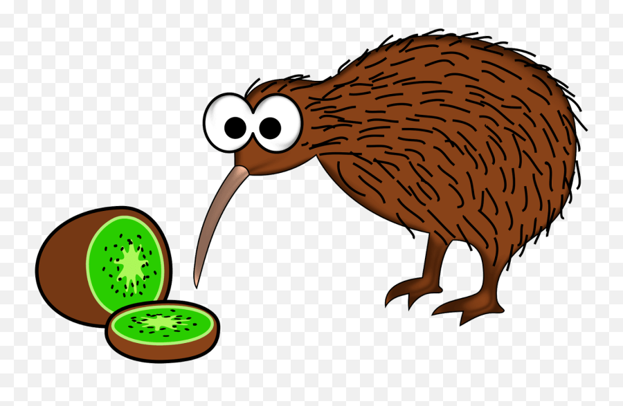 New Zealand Kiwi Bird Cartoon - New Zealand Kiwi Drawing Emoji,Porcupine Clipart