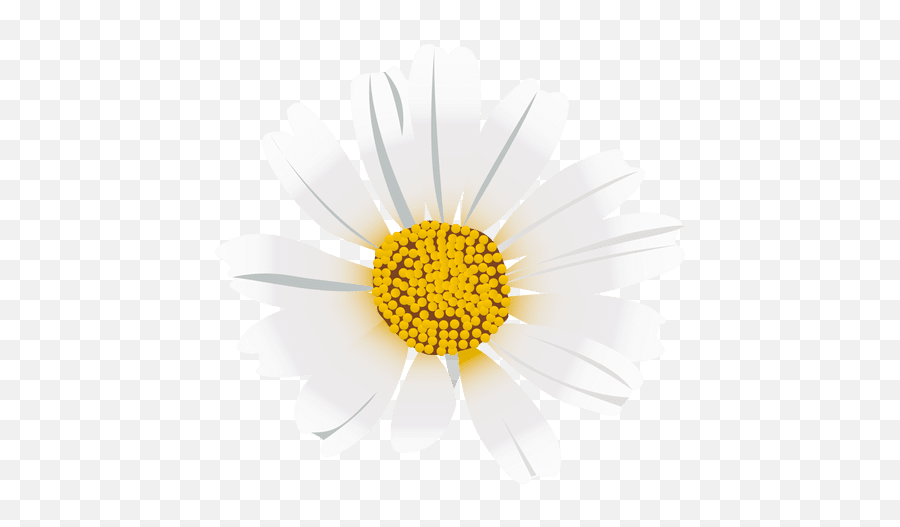Daisy Flower Cartoon - Desenho Margarida Png Emoji,Daisy Transparent Background
