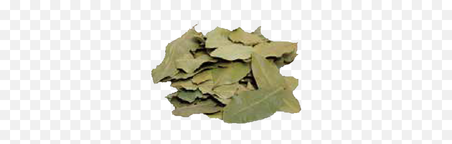 Herbsu0026spices U2013 Egeste - Grape Leaves Emoji,Laurel Leaves Png