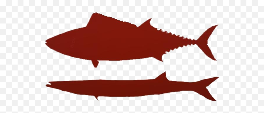 Transparent Barracuda Fish Logo Pngimagespics - Fish Emoji,Fish Logo