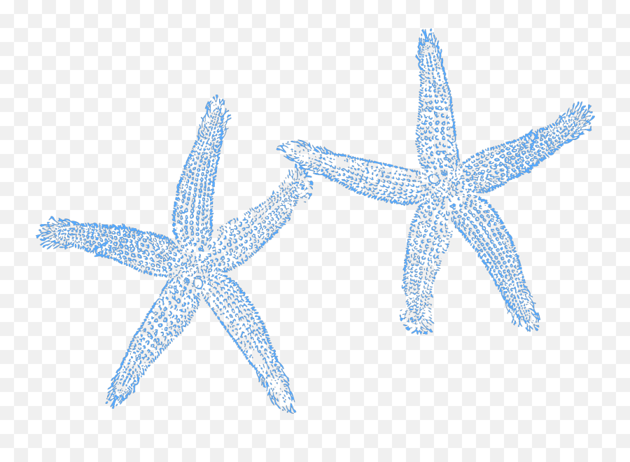 Two Blue Starfish Clip Art - Clip Art Emoji,Blue Starfish Logo