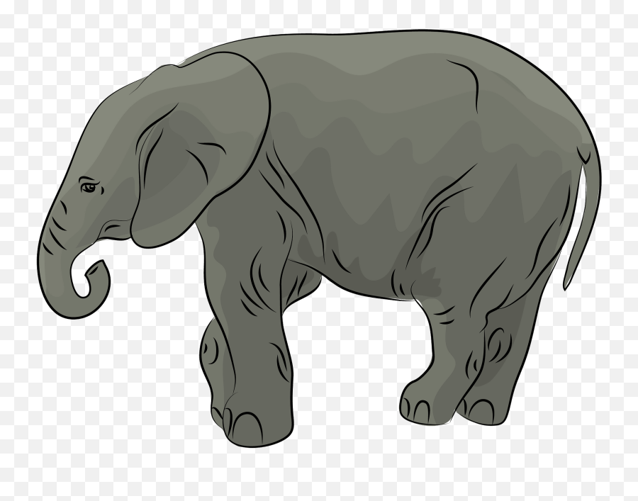 African Elephant Cub Clipart Free Download Transparent Png Emoji,Cub Clipart