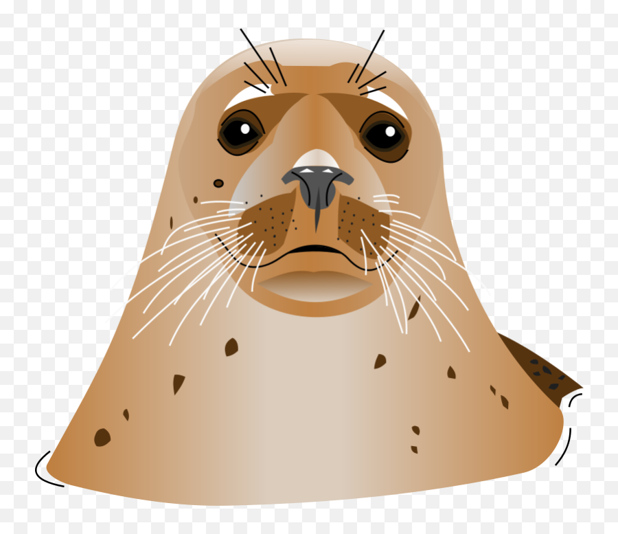 Seal - Animal Seal Png Transparent Emoji,Seal Clipart
