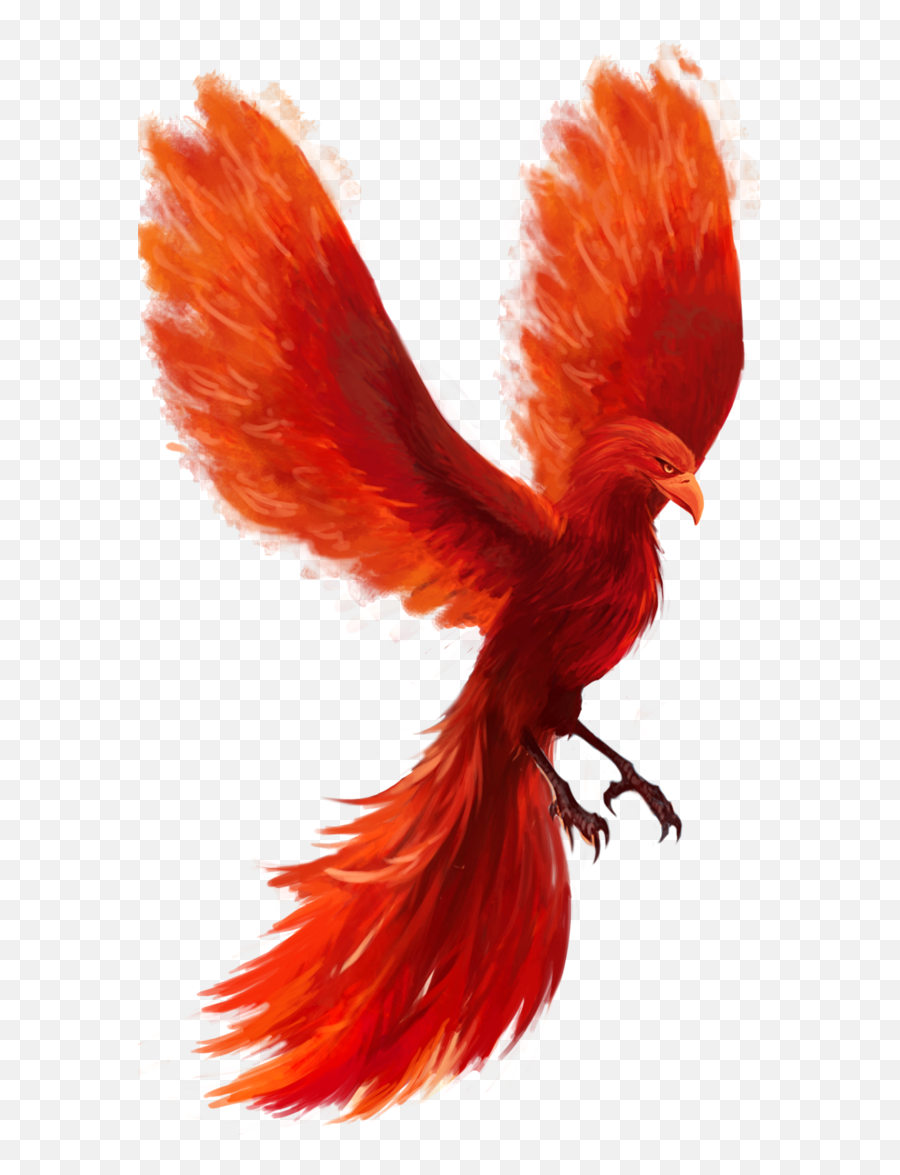 Download Phoenix Png Hd - Real Phoenix Bird Png Emoji,Phoenix Png