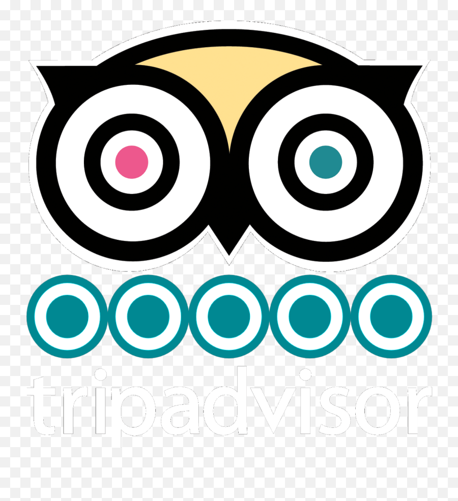 Home - Aplicaciones Con Un Logo De Buho Emoji,La Times Logo