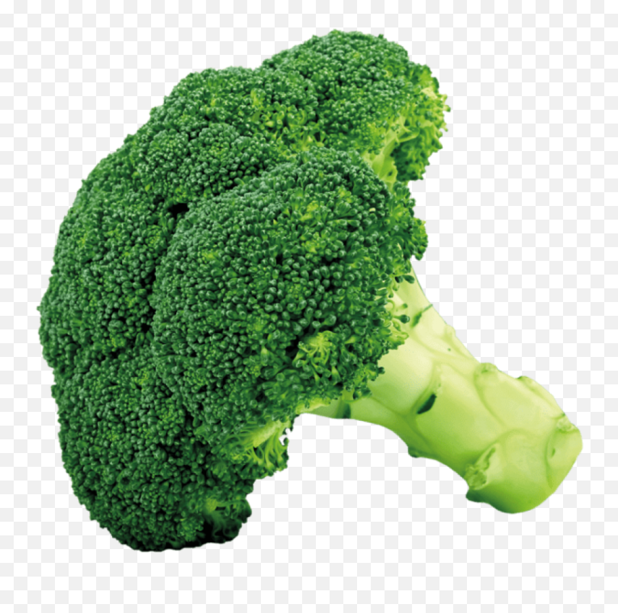 Broccoli Clipart Green Food Broccoli - Broccoli Png Emoji,Broccoli Clipart