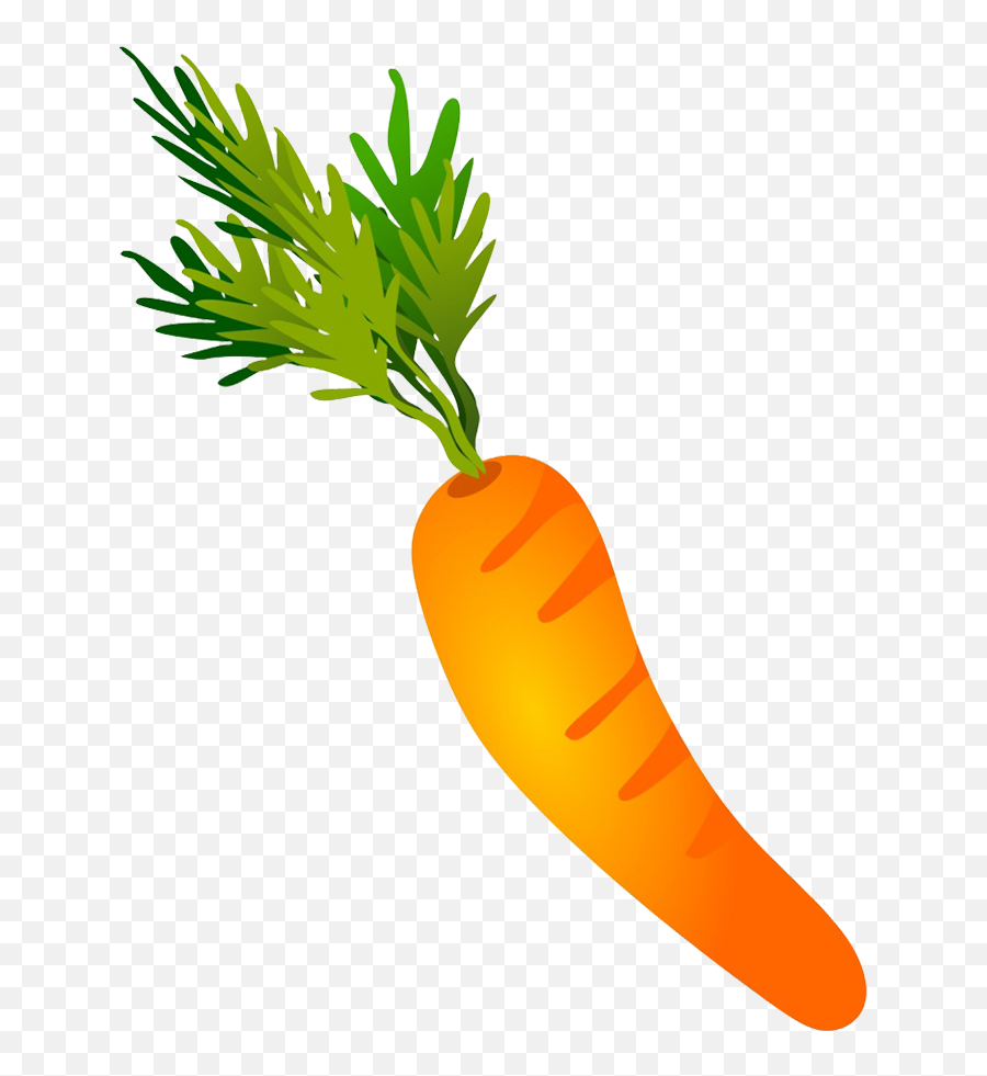 Carrot Drawing - Vegetable Clipart Full Size Clipart Carrot Drawing Png Emoji,Vegetable Clipart